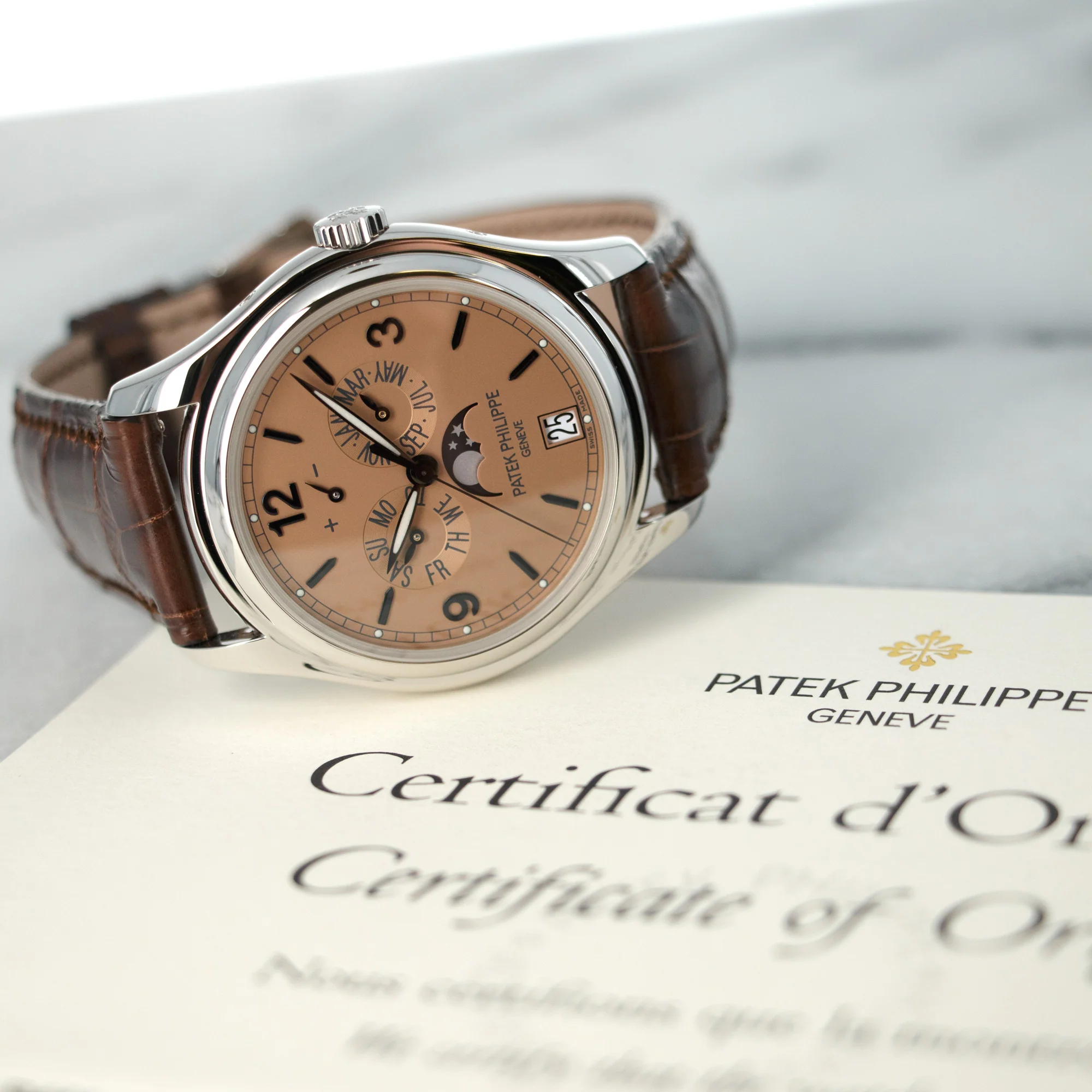 Patek Philippe Platinum Advanced Research Annual Calendar Watch Ref. 5450 - Image 6